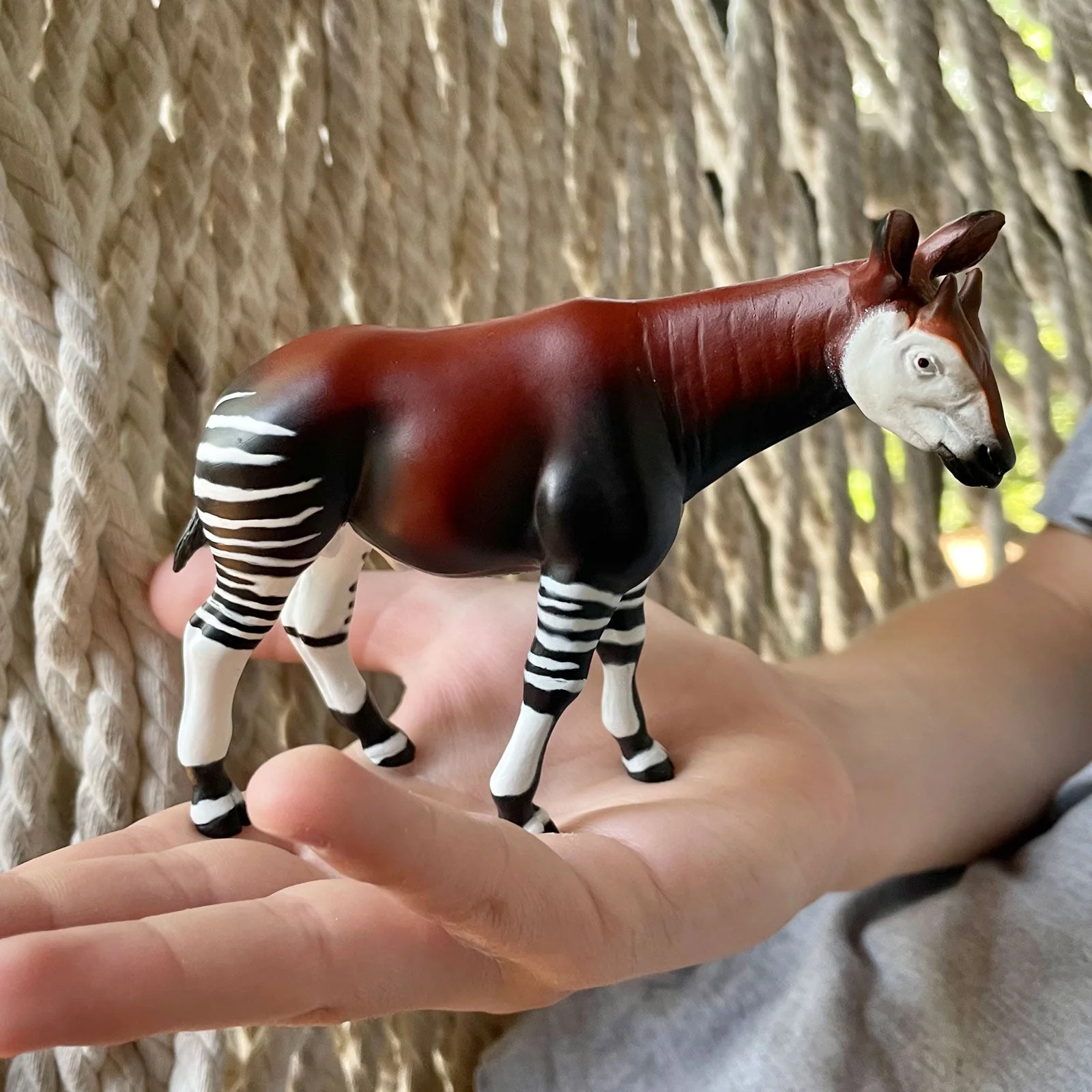 Thumb 5
